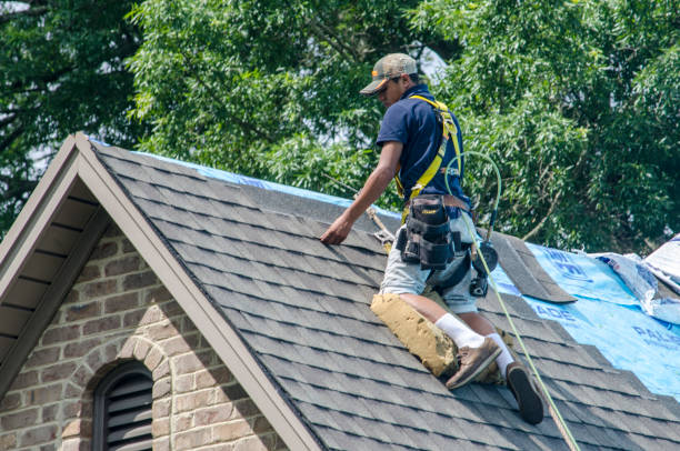 Best Roof Leak Repair  in Morristown, TN